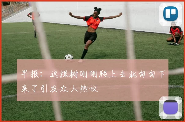 早报：这棵树刚刚爬上去就匆匆下来了引发众人热议