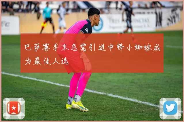 巴萨赛季末急需引进中锋小蜘蛛成为最佳人选